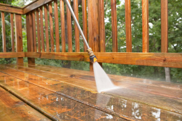 Best Dumpster Area Cleaning  in Chebanse, IL